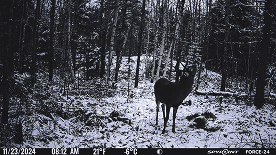 Photo prise par une caméra FORCE-24